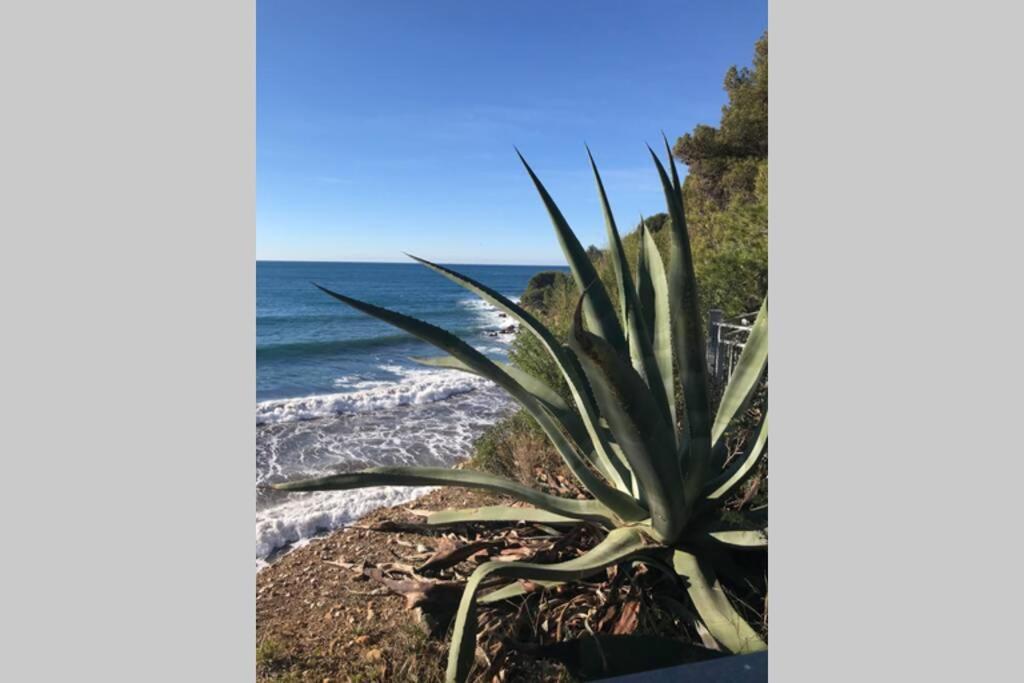 La Petite Pinede Studio Climatise Proche Plage Sanary-sur-Mer Exterior foto